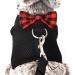 Adjustable Rabbit Dishes - 2 Pack with Leash for Small Animals & Kittens | Best Pet Supplies for Rabbits - Buy Online on GoSupps.com