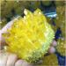 300-350g Yellow Electroplated Natural Crystal Cluster Raw Rock Quartz Flowers Aura Stones Gift Modern House Decor Crystal - Buy Online on GoSupps.com
