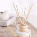 50 Pieces of Reed Diffuser Sticks | Rattan & Wooden Fragrance Rods for Home & Office - 25cm x 3mm - Buy Online on GoSupps.com