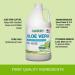 Organic Cold-Processed Pure Aloe Vera Juice - Unflavored Inner Filet from Texas - Gastrointestinal Aid - 64 fl oz - Buy Online on GoSupps.com