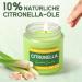 Buy Citronella Candles | 20-Hour Burn Time | Natural Lemongrass Fragrance | Set of 2 Glass Candles for Outdoor Use Camping & Travel - Citronella 300G - Buy Online on GoSupps.com