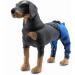 Dog Knee Brace Pet Dog Hind Leg Brace Support Belt Pet Dog Double Hind Leg Brace Support Belt for Heals Prevents Injuries Sprains Protects Wounds. B Medium - Buy Online on GoSupps.com