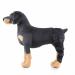 Dog Right Hind Leg Knee Brace Dog Braces for Back Legs Super Supportive for Heals Prevents Injuries Sprains Protects Wounds. A Large
