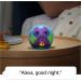 Echo Dot Kids (5th Gen 2022) | Parental Controls | Owl Design | Device Only - Buy Online on GoSupps.com