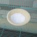 Happiness Apply Here: Rope Bird Breeding Nest Bed for Budgies, Parakeets, Cockatiels, Conures, Canaries, Finches, Lovebirds, and Small Parrots - Buy Online on GoSupps.com