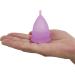 Reusable Menstrual Cup Set of 4 | Eco-Friendly Period Cups for Women 2 Small & 2 Large in Purple & White - Buy Online on GoSupps.com