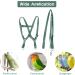 Felenny Bird Dishes & Adjustable Leash - Essential Outdoor Accessories for Scarlet Red Ara Sun Conure & Nymphensittich (Green Small) - Buy Online on GoSupps.com