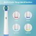 Oral-B Replacement Brush Heads (16 Pack) - Compatible with Pro 1000 & 7000 - Includes Sensitive, Floss, Precision & Whitening - Buy Online on GoSupps.com