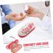 Buy JECOMPRIS Double-Lodged Glasses Case - Practical Contact Lens Holder with Tweezers Mirror and Solution | Stylish Red Design for Household Use - Shop Internationally! - Buy Online on GoSupps.com
