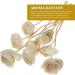 Reed Diffuser Sticks Set - White Rose Aromatherapy with Rattan Sticks | 8 PC Essential Oil Aroma Diffuser for Room Fragrance & Home Decoration - Buy Online on GoSupps.com