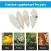 4 PCS Cuttlefish Bone(12-13cm) Birds Parrots Chewing Toys with 2 Pcs Metal Holder Natural Cuttlefish Bone Bird Pet Molar Toy for Parrots Cage Birds Reptiles Tortoises Snails - Buy Online on GoSupps.com