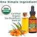 100% Organic Sea Buckthorn Seed Oil - Pure 1 oz | Best for Skin & Hair - Buy Online on GoSupps.com