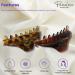 Parcelona French Boss Thin Light Tortoise Shell Brown Celluloid Hair Claw Clip Set - 2 Pack - Buy Online on GoSupps.com