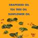 SheaMoisture Low Porosity Hair Bundle - Shampoo, Conditioner, Detangler Set - Baobab & Tea Tree Oil - 3pc Set, 34 Fl Oz - Buy Online on GoSupps.com