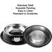 Domi Pro Non-Slip Stainless Steel Cat Bowls Set in Gray & Black - Ideal for Food and Water - Kitten Friendly (Black) - Buy Online on GoSupps.com