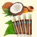 Earth's Daughter SPF 15 Lip Sunscreen 4-Pack with Organic Coconut Ingredients - Paraben and Gluten Free - Buy Online on GoSupps.com