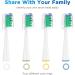 Replacement Brush Heads for 2023 Waterpik Sensonic Toothbrush - 8 Count with Covers Compact & White - Buy Online on GoSupps.com