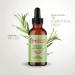 Rosemary Oil for Hair Growth - 59 ml Hair Care Oil (2 Pack) | Reduce Hair Loss & Nourish Scalp with Rosemary Mint Oil - Buy Online on GoSupps.com