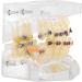 Orthodontic Treatment Weikeya Model | Harz Group PVC Teeth Learning - International Shipping Available - Buy Online on GoSupps.com