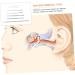 SUPVOX 4-Piece Piercing and Ear Cleaning Kit with Stainless Steel Tools and Brushes - Chinese Supplies for Nose and Ear Care - Buy Online on GoSupps.com