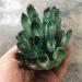 Natural Crystal Rough Specimen Green Ghost Phantom Quartz Crystal Cluster Rock Stones Crystals ReikiSpecimen Home DecorStone Natural Luster 300-400g - Buy Online on GoSupps.com