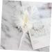 NAMOARLY 2 Pcs Insert Pearl Trim Pearl Decor Beige Decor Ostrich Trim Baking Diy Decor Dessert Inserting Decor Inserting Baking Topper Baking Toppers Insert Card Cake White White 12X5.5CM - Buy Online on GoSupps.com