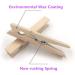 250pcs Mini Natural Wooden Clothespins with Jute Twine for Crafts & Photos - Buy Online on GoSupps.com