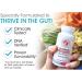 Silver Fern Gut Rehab Kit: Daily Detox & Ultimate Probiotic Combo for Gut Health - Immunoglobulin Detox Formula & Spore Probiotics - Buy Online on GoSupps.com
