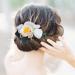 Fangsen Wedding Hibiscus Rose Flower Hair Comb Bridal Headpiece Floral Hair Accessories for Brides and Bridesmaids (C)