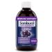 Sambucol Black Elderberry Syrup Original Formula for Immune Support  High Antioxidant Sambucus Elderberry Supplement for Adults and Kids Ages 4+  Gluten Free  Vegan  Family Size 500 mL  16.9 Fl Oz
