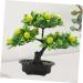 Ciieeo 2pcs Artificial Fruit Tree Faux Potted Plants Flower Vases Decorative Lemon Tree Artificial Fruit Potted Faux Fruit Tree Bonsai Fake Lemon Bonsai Linden Tree Pvc Desktop Office As Shown 1 30X27X16CM - Buy Online on GoSupps.com
