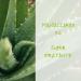 Omia Latte Solare Protection SPF30 Face and Body with Aloe Vera from Salento Protection Solare Alta Per Pelli Chiare e Sensibili al Sole Dermatologicamente Testato Flacone da 200 ml - Buy Online on GoSupps.com