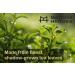 Ceremonial Grade Matcha Powder from Kyoto, Japan - Rich Flavor Ideal for Shots & Lattes - Premium AAA 30g Refill Pouch - Buy Online on GoSupps.com