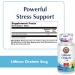 KAL Lithium Orotate ActivMelt 5mg - 90 Lozenges | Chelated Lithium for Balanced Mood Support | Lemon Lime Flavor - Buy Online on GoSupps.com