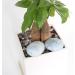 Orientrea Celestite Palm Stone - Smooth Healing Crystal for Anxiety Relief - Buy Online on GoSupps.com