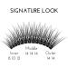 Individual Cluster Lashes In Spotlight D curl 8mm Extra Short Faux Mink Wispy EyeEnvy Express Lash Extensions - Buy Online on GoSupps.com