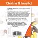 Choline and Inositol 500mg 100 Capsules - Pack of 2 | Buy NOW Online - Buy Online on GoSupps.com