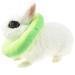 Fladorepet Rabbit Protection Cone & Elizabethan Collar for Small Animals | Avocado Costume (Small 1 Piece) - Buy Online on GoSupps.com
