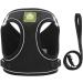 Femax Adjustable No-Pull Dog Harness & Leash for Small to Medium Dogs & Cats - Soft Mesh Vest with Reflective Features Fits Chihuahua & More (Chest 41-46cm) - Black - Buy Online on GoSupps.com