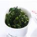 250g de Th Oolong Th Tieguanyin biologiques naturels Cravate Th Vert Guan Yin - Buy Online on GoSupps.com