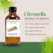 Citronella Essential Oil 1/2 fl oz (15 ml) Glass Bottle w/Euro Dropper 100% Pure Essential Oil GreenHealth - Buy Online on GoSupps.com