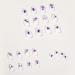24pcs White Floral Stick-on French Tip Short False Nails for Women and Girls - Nail Art Accessories - Buy Online on GoSupps.com