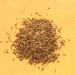 RUMI SPICE Foraged Whole Seed Fennel 2.1 OZ - Premium Quality Spice - Buy Online on GoSupps.com