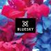 Bluesky Gel Nail Polish Red Glitter Sp19 10 ml (Requires Drying Under UV LED Lamp) - Buy Online on GoSupps.com