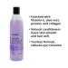 Buy McKesson Tearless Shampoo & Body Wash - Aloe & Vitamin E Lavender Scent 12 oz - Gentle & Hypoallergenic for All Ages | International Shipping Available - Buy Online on GoSupps.com