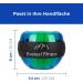 Everest Fitness Gyrotwister Gyroscopic Hand Trainer Ball for Strengthening Grip & Reducing Pain LED Options Available Neon Blue - Buy Online on GoSupps.com