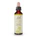 Bach Original Flower Remedies, Wild Rose for Enthusiasm, Natural Homeopathic Flower Essence, Holistic Wellness and Stress Relief, Vegan, 20mL Dropper