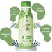 Leche Pal Pelo Detox Shampoo - Apple Cider Vinegar & Honey Infused | pH Balanced Hair Transformation | Moisture & Shine Repair - 14.9 oz - Buy Online on GoSupps.com