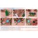 Eppingwin Beads Assortment Medium Pack - 800 Classic + 300 Color Changing Beads - Buy Online on GoSupps.com