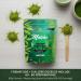  HERBOSIA HERBOSIA Japanese Matcha Ceremony Grade Rich in L-Theanine & Antioxidants Bitterness-Free 100% Natural 80g + Measuring Spoon Included (80g Plain) - Buy Online on GoSupps.com